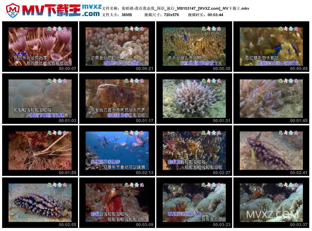 张暄祺-我有我态度_国语_流行_MB103147